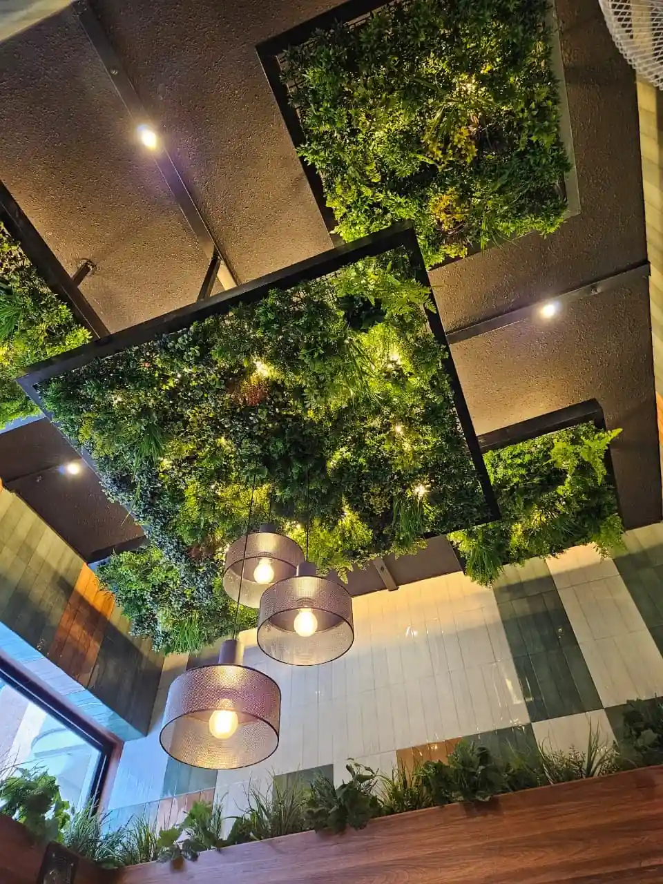 WhatsApp-Image-2025-11-28-at-16.35.56